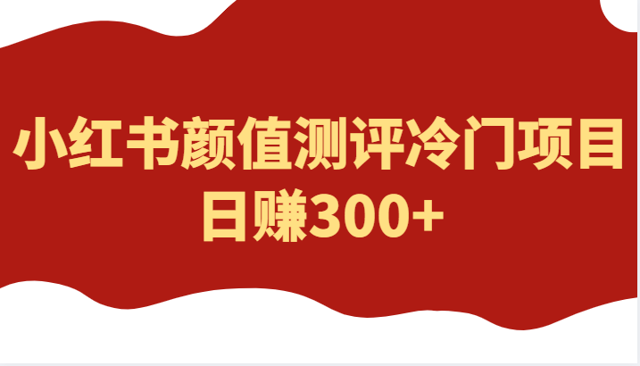 外面4980的项目，小红书颜值测评冷门项目，日赚300+-颜夕资源网-第16张图片