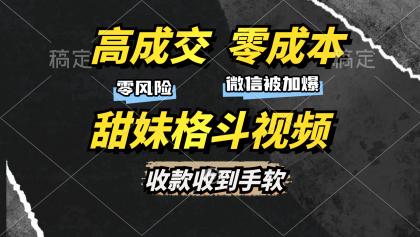 高成交零成本，售卖甜妹格斗视频，谁发谁火，加爆微信，收款收到手软-颜夕资源网-第18张图片
