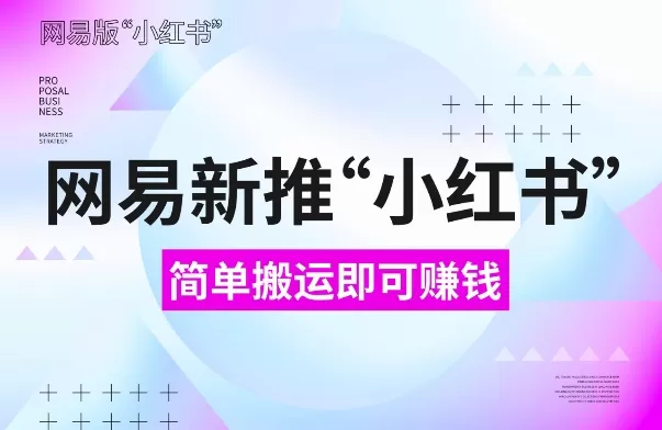 网易“小红书”版，搬运即有收益，新手小白千万别错过(附详细教程)-颜夕资源网-第18张图片