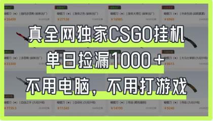 CSGO挂机，单日捡漏1000+，不用电脑，不用养号-颜夕资源网-第18张图片