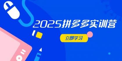 2025拼多多平台实践营：深入剖析经营重要，助推电商人快速升级-颜夕资源网-第18张图片