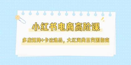 小红书电商高阶课，多店矩阵+卡位选品，大红海类目突围指南（更新5月）-颜夕资源网-第18张图片