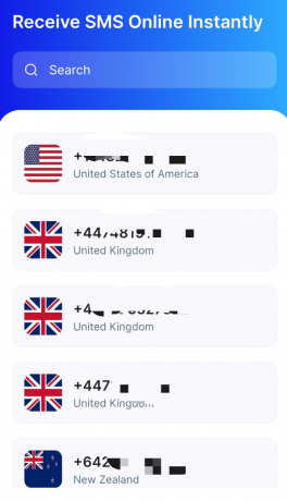 临时虚拟手机号接码用 国内不可用-颜夕资源网-第18张图片