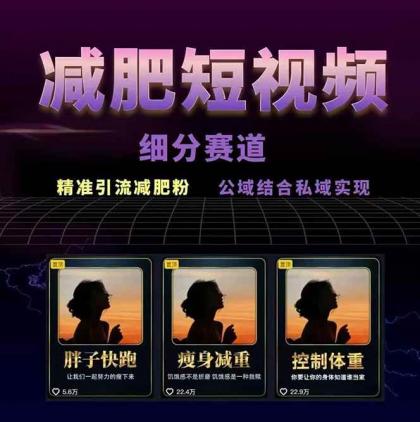 减肥短视频运营实战课：含素材制作、剪映教学，讲精准引流、变现设计与内容模板技巧-颜夕资源网-第19张图片