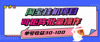 揭秘2025最新淘宝挂机项目，单号30-100，可矩阵批量操作（附工具）-颜夕资源网-第18张图片