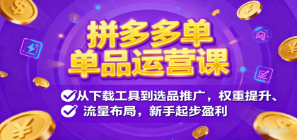 拼多多单品运营课，从下载工具到选品推广，权重提升、流量布局，新手起步盈利-颜夕资源网-第18张图片