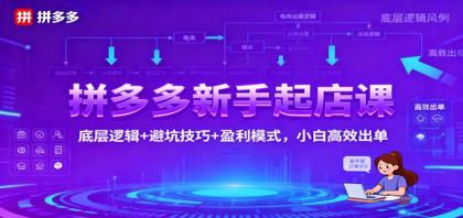 拼多多新手起店课：底层逻辑+避坑技巧+盈利模式，小白高效出单-颜夕资源网-第18张图片