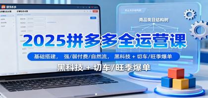 2025拼多多全运营课：基础搭建，强/弱付费/自然流，黑科技 + 切车/旺季爆单-颜夕资源网-第18张图片