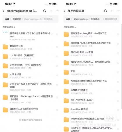 Blackmagic Cam Lut包影视飓风+馆长Lut 木木等滤镜包-颜夕资源网-第19张图片