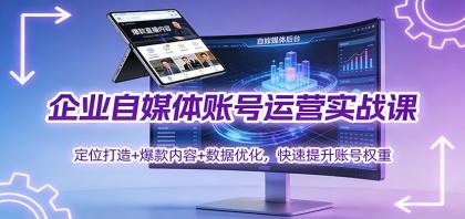 企业自媒体账号运营实战课：定位打造+ 爆款内容+数据优化，快速提升账号权重-颜夕资源网-第18张图片