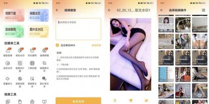 视频下载去水印22支持全网主流平台秒解析解锁会员-颜夕资源网-第18张图片