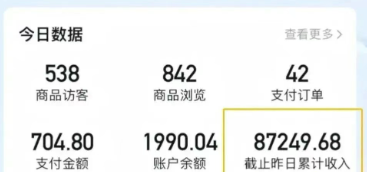 2026新手也能操作的带货玩法，用这个方法零门槛，轻松月入10000+-颜夕资源网-第19张图片