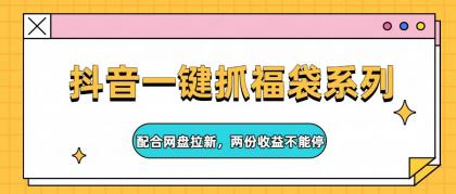 抖音一键抓福袋系列，配合网盘拉新，两份收益不能停-颜夕资源网-第18张图片